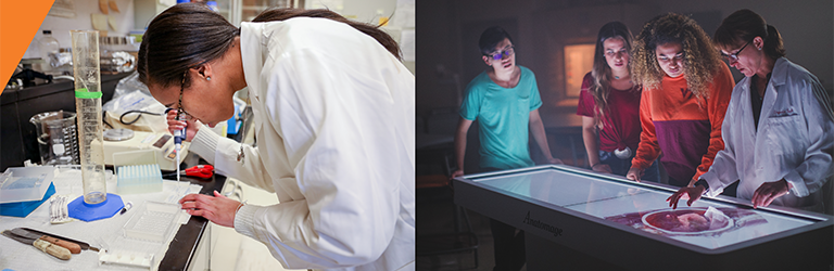Two images, one of a scientist with a pipette in a lab, one of students and professor surrounding an anatomage table